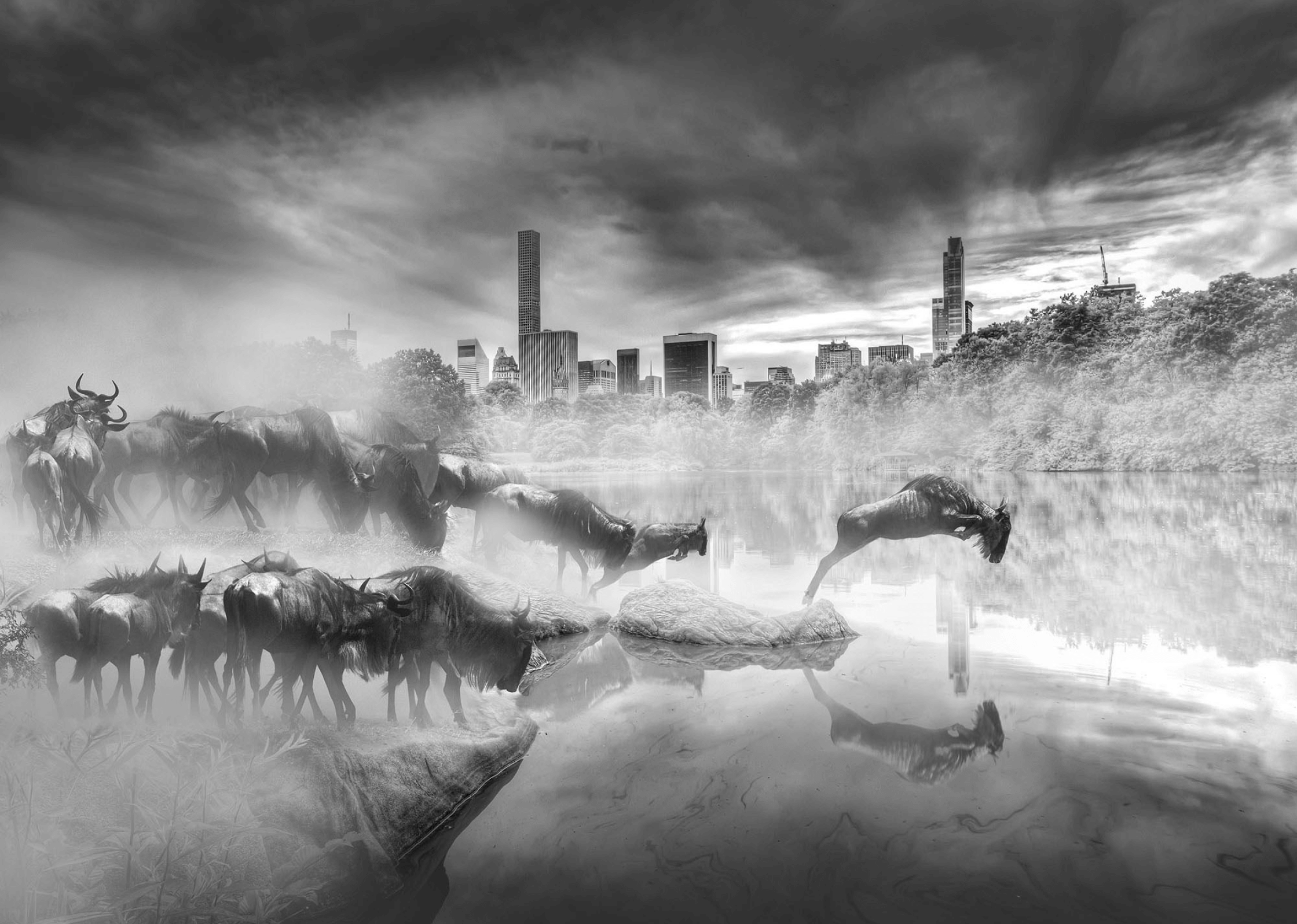 The Concrete Jungle 2
